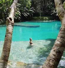 Como Chegar No Paraiso Em Alagoas Santuario Ecologico Fazenda De Santa Tereza Em Atalaia Dicas Informacoes Uteis Muita Foto E Etc Viagens Viagem Para Maceio Locais De Ferias Dos Sonhos