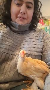 Can some help me figure out what kind of roster he is please