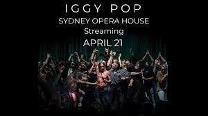 Anyone for an iggy pop asmr experience? Iggy Pop At Sydney Opera House Teaser Youtube