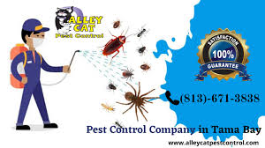 Starting a pest control business is no easy task. Tampa Bay Pest Control Company 813 671 3838