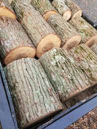 Identifying wood is not easy for a number of reasons. Identify These 3 Firewood Logs Please Firewood Hoarders Club