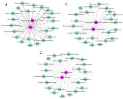 Cancer symptoms are changes in the body caused by the presence of cancer. The Common Genes Between Enriched Pathway Sets Of Drugs And Breast Download Scientific Diagram