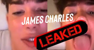 richlux713 on X: Lets talk about the James Charles sex tape jamescharles  t.coovgFmNLcqT t.coj8k48UJWrV  X