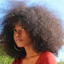 Pinterest Jalapeno In 2020 Natural Hair Styles Poofy Hair Curly Hair Styles