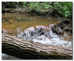 You pay a flat fee of $5 (children under 11 get for free), and that allows you to pan and sluice for gold. Choosing A Location To Pan For Gold Gold Panning Equipment Tips And More Luckypanner Com