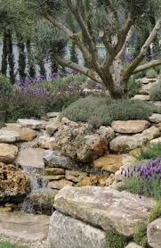 Olive Tree Garden Grey 51 Ideas For 2019 Mediterranean Garden Design Olive Trees Landscape Mediterranean Garden