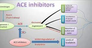 Ace Inhibitors Pharmacology Sympathetic System Nervous