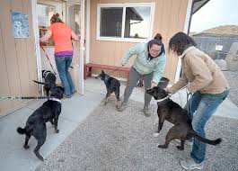 Wednesday to make sure they got to choose first. Local Volunteers Help Save Oklahoma Dogs From Death Row Powell Tribune