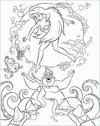 Disegni Da Colorare Walt Disney Principesse Ispiratore Immagini Da Colorare Walt Disn Ariel Coloring Pages Disney Coloring Pages Disney Princess Coloring Pages