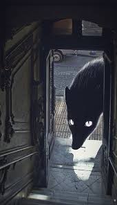 Captured 001 Illustration Art Art Concept Art