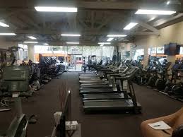 Take advantage of our free day pass and come experience hollywood fitness for yourself. West Hollywood Ca Fitness Equipment Billiards Johnson Fitness Wellness