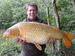 Check spelling or type a new query. Resep Umpan Ikan Mas Besar Terbaik Dan Jitu Resep Umpan Ikan Paling Jitu