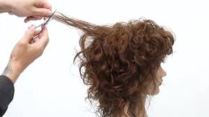 Back short curly hairstyle if you complain that your short hair is covering your face, you can fix the tufts you take in front of your hair backwards. Curly Shag Haircut Tutorial Youtube