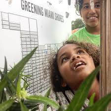 Connecting with our Community: Bound by Beauty at Green Day 2017 Miami  Shores