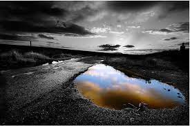 50 Wonderful Black White Photos With Partial Color Effects Selective Color Photography Color Photography Color Splash Photography