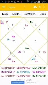 Can Anyone Give A Description About This Birth Chart Using
