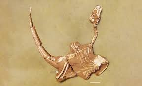 cherryxft onlyfans i opened the door to find a lanky