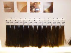Goldwell colorance color styling mousse 6n. 17 Goldwell Color Ideas Goldwell Color Hair Color