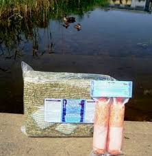 Planktonic algae in the water column can give the water a soupy green appearance. Barley Straw Bales For Large Ponds Green Gardener