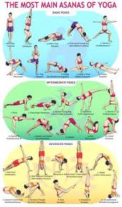 Vector Illustration Of The 30 Most Basic Yoga Postures Female In 2020 Basic Yoga Advanced Yoga Yoga Postures