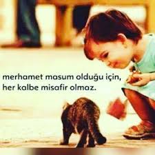 Sufihane On Instagram Merhamet Masum Kalp Misafir Anlamlisozler Anlamlisoz Guzelsozler Guzelsoz Sozler Sufi Sufihane Food Animals Sufi Instagram