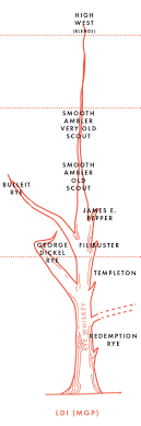 Chart The Family Tree Of Bourbon Whiskey Bourbon Whiskey