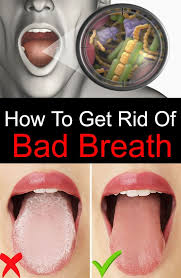 How to cure bad breath fast. How To Get Rid Of Bad Breath Bad Breath Remedy Bad Breath Treatment Bad Breath