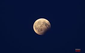 We did not find results for: Vormerken Und Anmelden Vollmond Wolfsnacht Im Wildpark Schorfheide