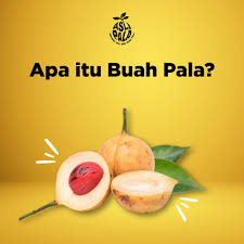 Dulu sebelum mengetahui cara pengolahan buah pala, banyak masyarakat maluku hanya membiarkan daging buahnya tergeletak begitu saja di atas tanah. Apa Sih Buah Pala Itu Asli Sari Buah Pala Indonesia Facebook