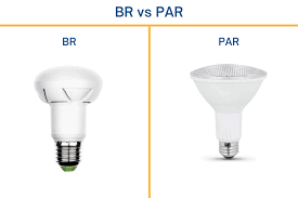 For light bulbs, par stands for parabolic aluminized reflector which represents a certain category of electric lamps. Short Neck Vs Long Neck Br30 And Par30 Bulbs Compared Led Lighting Info