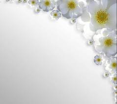 ورود بيضاء الخلفية تحميل إلى هاتفك النقال من Phoneky