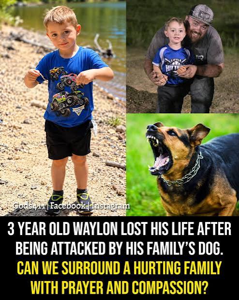 💔 HE WAS ONLY 3 YEARS OLD. An ordinary day at home became an unimaginable tragedy for the family of little Waylon O'Mary Coronna. The 3-year-old Alabama boy lost his life after