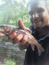 Steelhead or domestic rainbow? Yes I know a steelhead is a rainbow trout.
