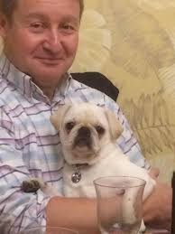 Ruby Star and Evie Moon the white pugs