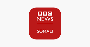 Tik tok somali aad u xiisa badan muuqaalka. Bbc Somali Subaxnimo