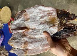 KHÔ MỰC XÀ, MỰC MA, NHỮNG ĐIỀU BẠN CẦN BIẾT