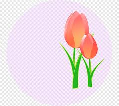 En esta página puedes encontrar varias imágenes sencillas y serias pero hermosas, todas referentes al tema del amor. Mania De Tulipan Abierto Flores De Amazon Fondo De Pantalla De La Computadora Tallo De La Planta Png Pngegg