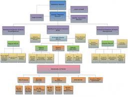 Organizational Chart Office Of Inspector General