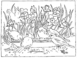 Aici găsiți desene de colorat cu primavara pentru copii. Planse De Colorat Cu Flori De Primavara Coloring Free To Print