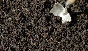 As it turns out, the formula for this is also great for vegetable gardens. How To Use Mushroom Compost In Vegetable Garden Awesome Tips Gardening Tips And Tricks