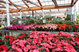 Beetpflanzenhallelenders Gartencenter