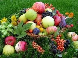 Fotos Frutas Fruit Wallpaper Variety Of Fruits Fruit Basket