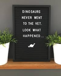15 vet tech jokes ranked in order of popularity and relevancy. Dinosaur Dinosaurs Vet Veterinarian Extinct Quote Quotes Letterbox Veterinarian Quotes Vet Tech Quotes Vet Medicine