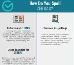 Correct Spelling For Zebras Infographic Spellchecker Net