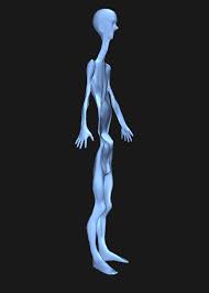 We did not find results for: Body Visualizer A Fun Program Album On Imgur