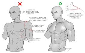 Learning how to draw muscles in motion will harness the power of gesture. Male Torso Anatomy Reference Guy Drawing Drawings
