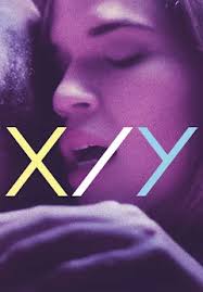 X/Y (Subtitulada)