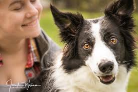 Jennifer Wollman Photography