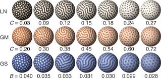 Bildergebnis für Turing pattern