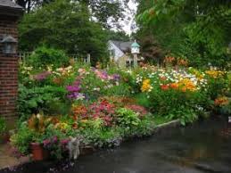 My Garden Color In Massachusetts Garden Design Beautiful Gardens Dream Garden Front Garden Design